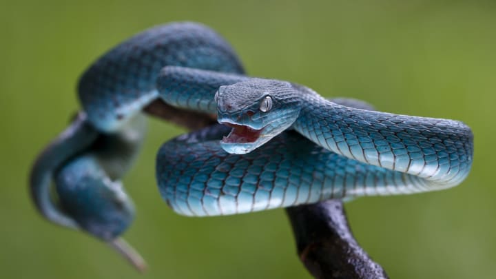 一分钟分享微信斗牛平台链接房卡-链接找谁买-