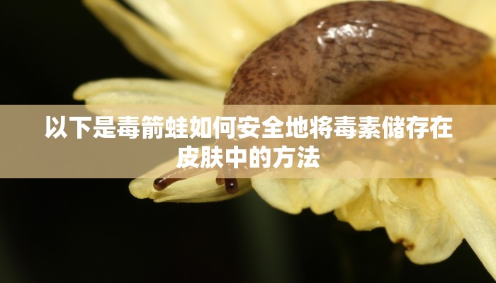 房卡一分钟“微信斗牛房卡链接
炸金花房卡”房卡详细使用教程 房卡一分钟“微信斗牛房卡链接
炸金花房卡”房卡详细使用教程