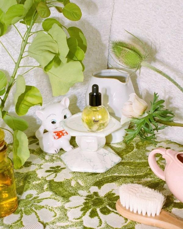 一分钟解决 ”微信金花房卡充值步骤-链接教程-