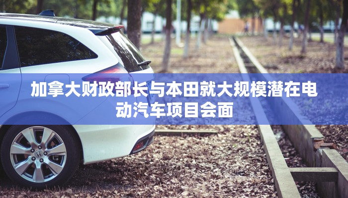 玩家攻略必备德扑之星透视软件方法!原来有挂教程