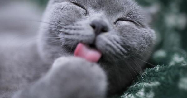 三分钟讲解“乐酷副厅房卡充值”获取房卡教程