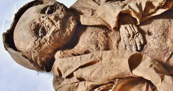 房卡一分钟了解“微信金花房卡充值”详细房卡教程