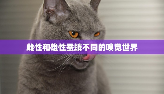 三分钟解答“炸金花房卡多少钱一张”获取房卡方式