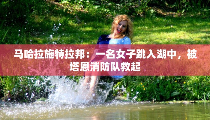 秒懂教程“新青鸟房卡哪里买”官方渠道安全