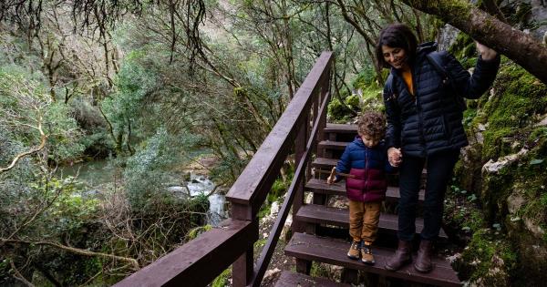 玩家攻略“微信房间大厅链接牛牛房卡”详细房卡教程 玩家攻略“微信房间大厅链接牛牛房卡”详细房卡教程