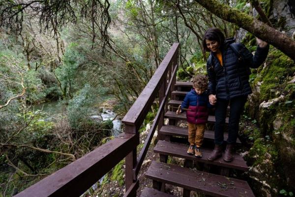 房卡必备教程“可以和好友创房间一起玩的牌九”哪里获取房卡 房卡必备教程“可以和好友创房间一起玩的牌九”哪里获取房卡