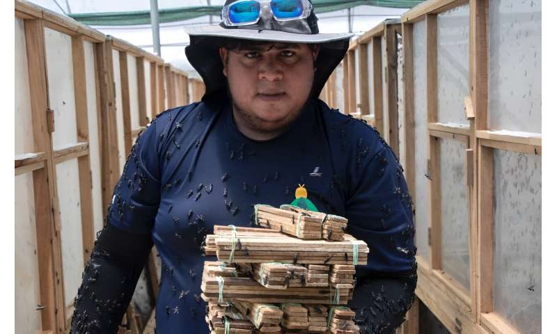 实操教程“微信金花群房卡如何充值”获取房卡方式