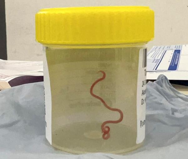 一分钟介绍“微信新拼三张链接大厅房卡”房卡详细使用教程