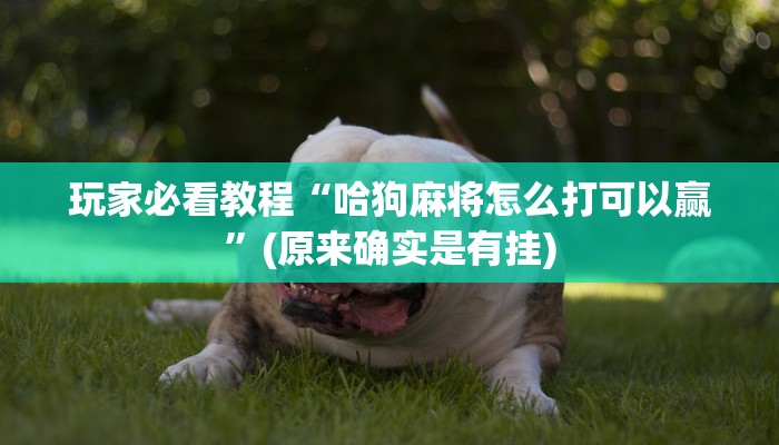 一分钟普及“新奇玩乐怎么买房卡”获取房卡方式