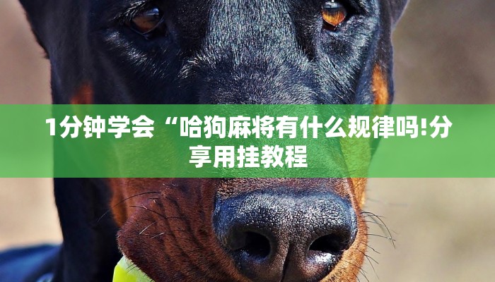 秒懂教程“新皇豪互娱牛牛买房卡”获取房卡教程