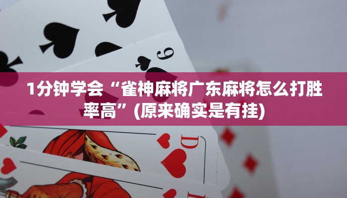 辅助神器“十三十三水开挂”(原来确实是有挂)