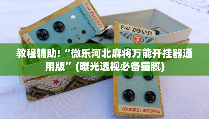 教程辅助!“微乐河北麻将万能开挂器通用版”(曝光透视必备猫腻)