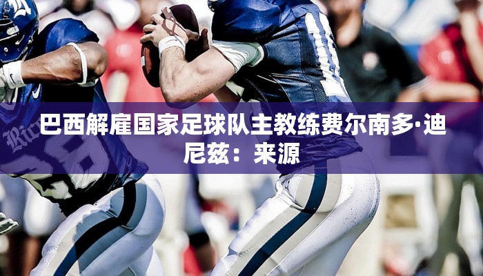 巴西解雇国家足球队主教练费尔南多·迪尼兹：来源