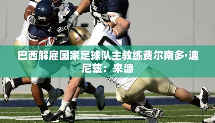 巴西解雇国家足球队主教练费尔南多·迪尼兹：来源