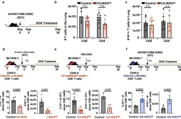 全渠道了解“樱花之盛房卡价格”获取房卡方式