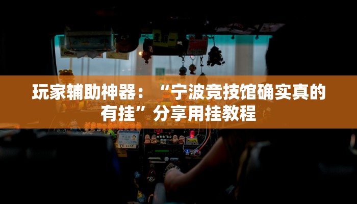 玩家辅助神器：“宁波竞技馆确实真的有挂”分享用挂教程