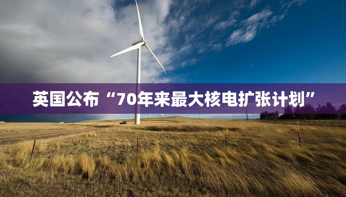 一分钟介绍“金花房卡链接充值”房卡详细使用教程