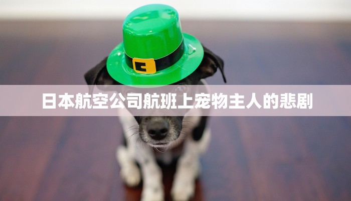 秒懂教程“南天门房卡充值”详细步骤