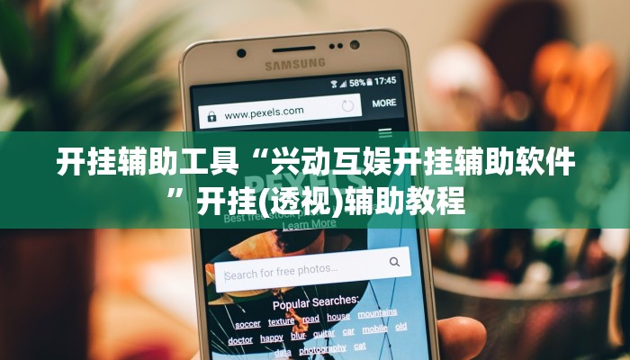 开挂辅助工具“兴动互娱开挂辅助软件”开挂(透视)辅助教程 开挂辅助工具“兴动互娱开挂辅助软件”开挂(透视)辅助教程