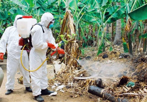 玩家必看“牛魔王大厅房卡”房卡详细使用教程