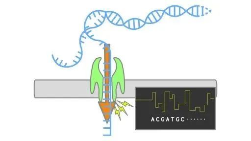 一分钟介绍“皇豪互娱牛牛”房卡详细使用教程 一分钟介绍“皇豪互娱牛牛”房卡详细使用教程