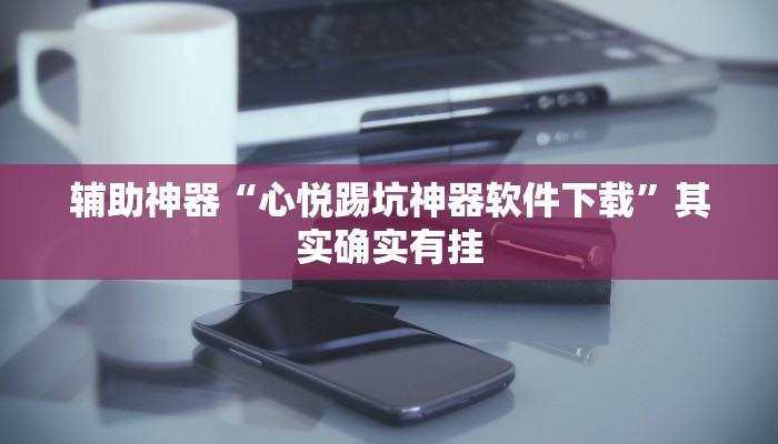 辅助神器“心悦踢坑神器软件下载”其实确实有挂