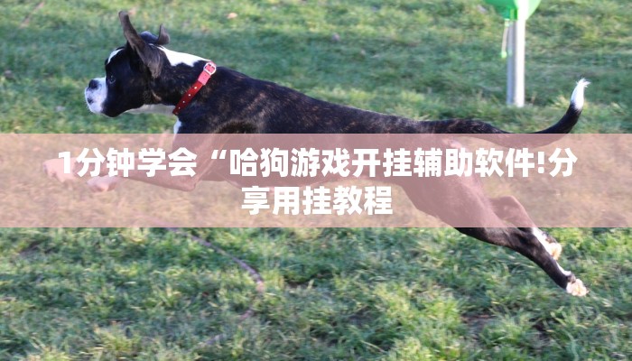 一分钟了解“拼十斗牛房卡”详细房卡教程 一分钟了解“拼十斗牛房卡”详细房卡教程