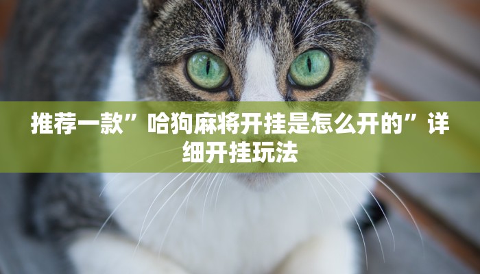 今日教程“随意玩大厅怎么买房卡-详细房卡怎么购买教程 今日教程“随意玩大厅怎么买房卡-详细房卡怎么购买教程