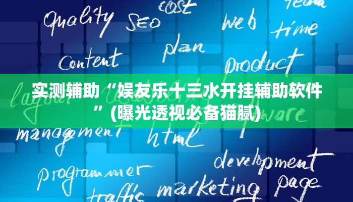 实测辅助“娱友乐十三水开挂辅助软件”(曝光透视必备猫腻)