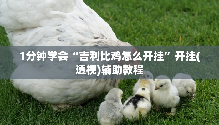 房卡一分钟了解“宝马互娱牛牛房卡”房卡详细使用教程