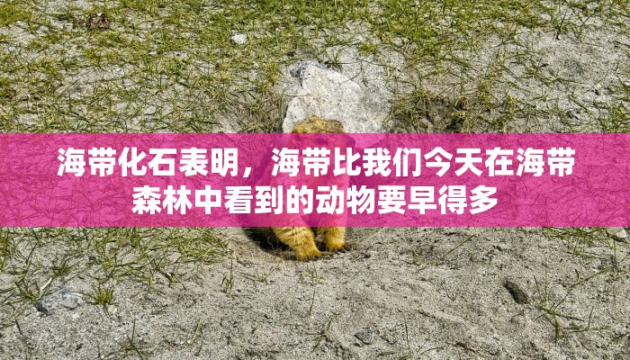 一分钟解决 ”微信上炸金花房间房卡-链接教程- 一分钟解决 ”微信上炸金花房间房卡-链接教程-