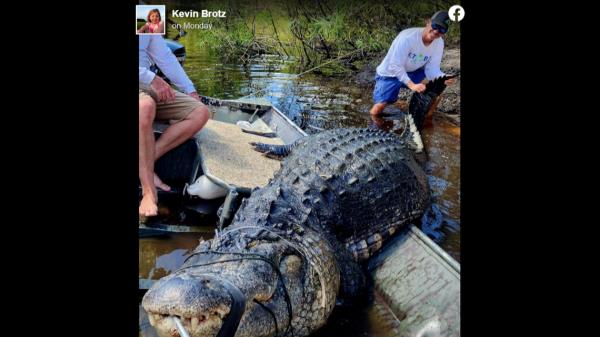 广义度量空间上的Kolmogorov-Chentsov型定理及其在banach值过程极限定理中的应用
