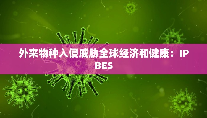 盘点攻略aapoker透视方法！(真的有挂)-知乎