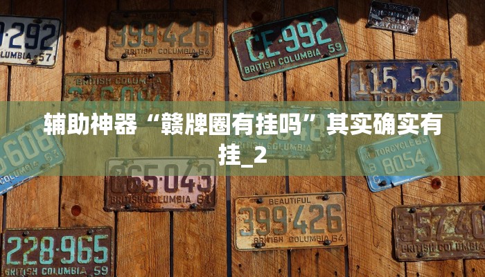 辅助神器“赣牌圈有挂吗”其实确实有挂_2