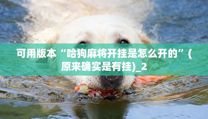 可用版本“哈狗麻将开挂是怎么开的”(原来确实是有挂)_2