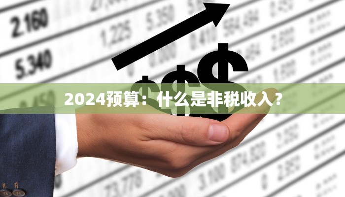 2024预算：什么是非税收入？
