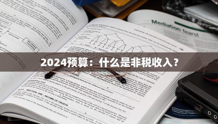 2024预算：什么是非税收入？