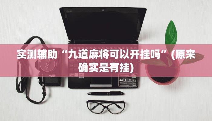 实测辅助“九道麻将可以开挂吗”(原来确实是有挂)