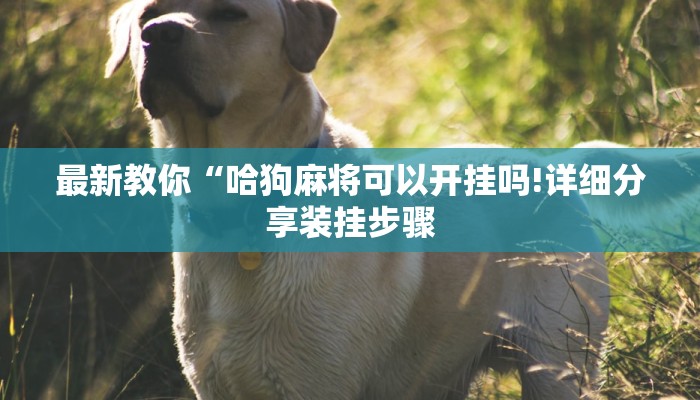 玩家攻略“新八戒大厅正版微信金花房卡”详细房卡教程