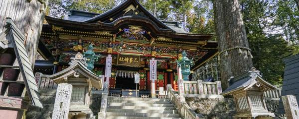 玩家攻略“蝴蝶大厅正版微信金花房卡”房卡详细使用教程 玩家攻略“蝴蝶大厅正版微信金花房卡”房卡详细使用教程