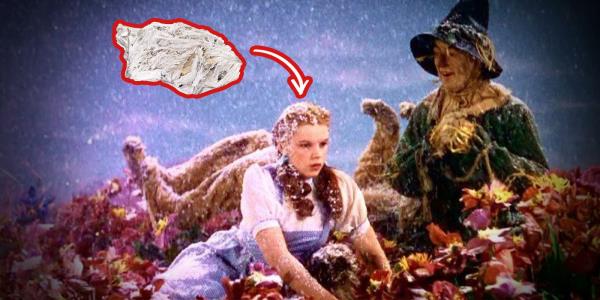 一分钟介绍“牛魔王大厅怎么买房卡”房卡详细使用教程