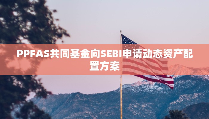 PPFAS共同基金向SEBI申请动态资产配置方案