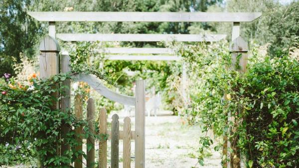 一名女子在自家花园里发现了一种被认为已经灭绝100年的小生物
