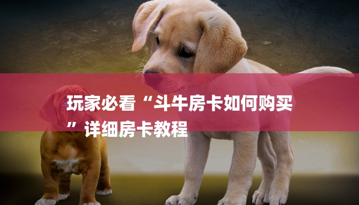 8分钟了解!天酷大厅在哪里买房卡-详细房卡怎么购买教程 8分钟了解!天酷大厅在哪里买房卡-详细房卡怎么购买教程