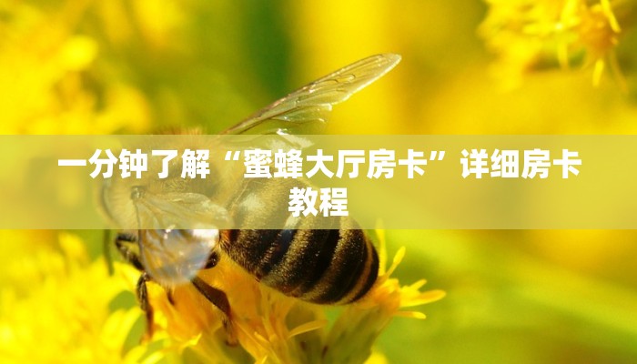 秒懂教程“新星游大厅在哪买房卡”官方渠道安全 秒懂教程“新星游大厅在哪买房卡”官方渠道安全