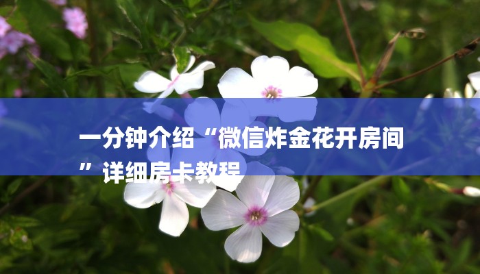 一分钟了解“新鸿狐大厅”房卡详细使用教程