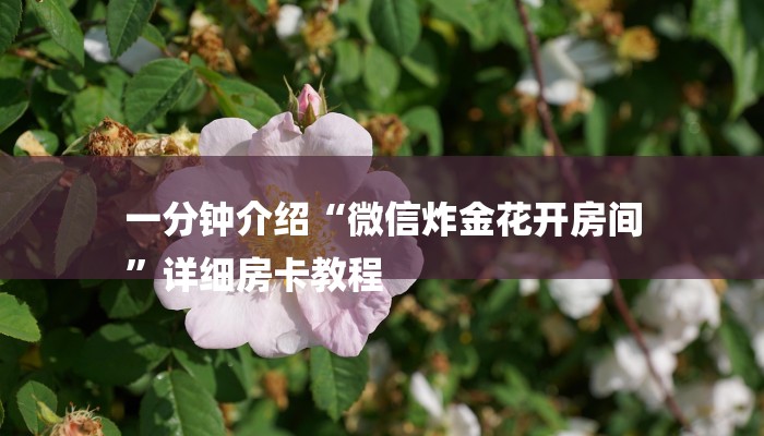 全渠道了解“新道游房卡在哪里买”详细房卡教程