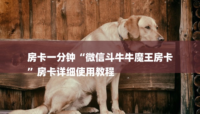 必看教程“新大圣大厅怎么买房卡-链接找谁买- 必看教程“新大圣大厅怎么买房卡-链接找谁买-