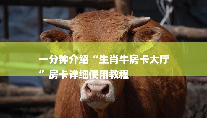 一分钟普及“新全游大厅怎么买房卡”获取房卡方式