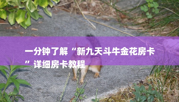 一分钟了解“新九天斗牛金花房卡
”详细房卡教程